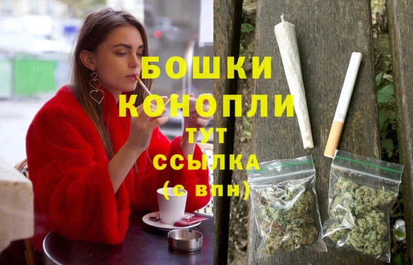 apvp Магас