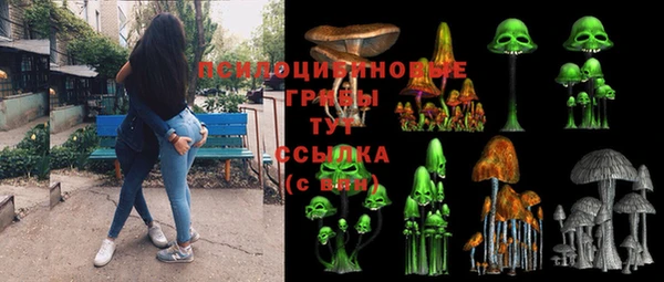 apvp Магас
