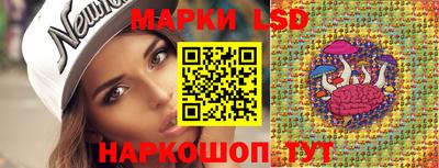 гидропоника Дубна