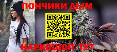 прущие грибы Азнакаево