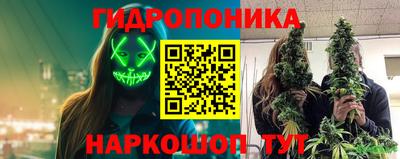 прущие грибы Азнакаево