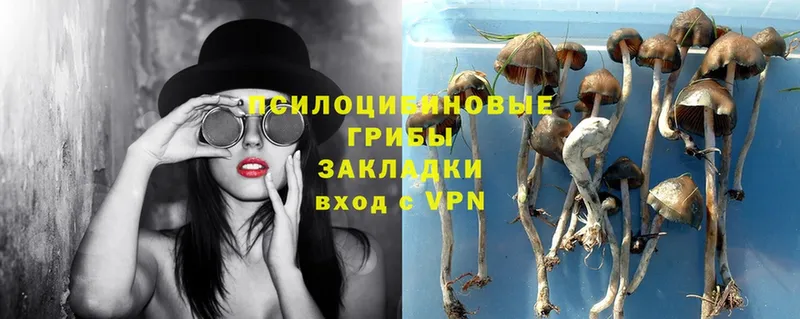 Галлюциногенные грибы Magic Shrooms  Карасук 