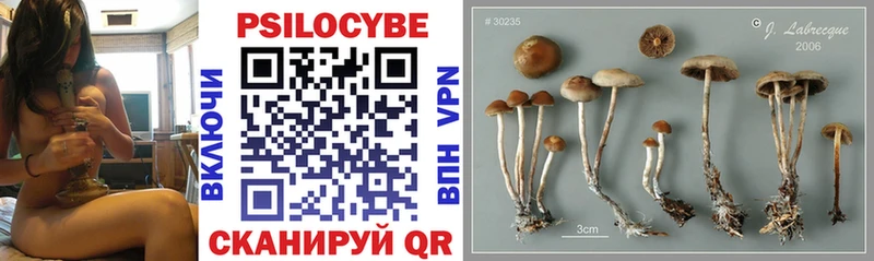 Галлюциногенные грибы мицелий  мега вход  Карасук 