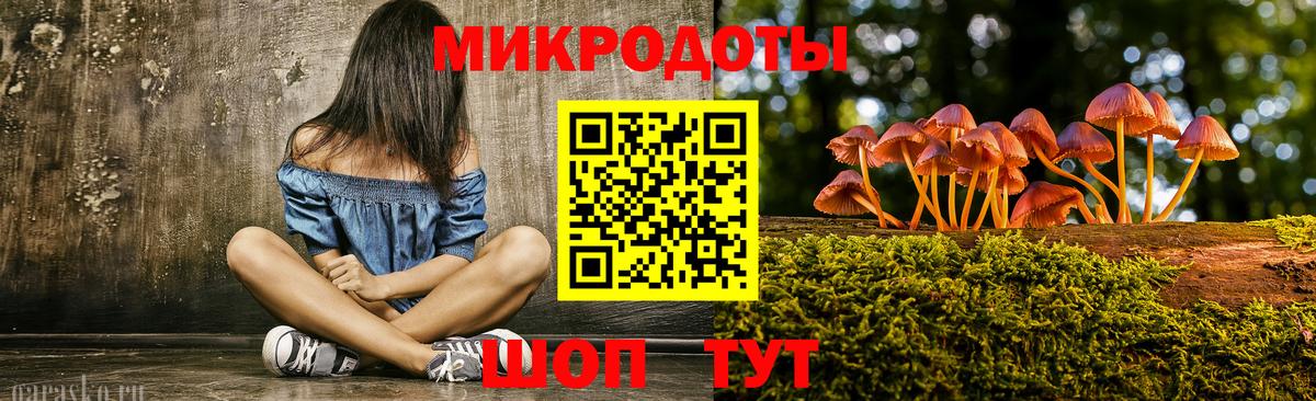 Псилоцибиновые грибы прущие грибы Карасук