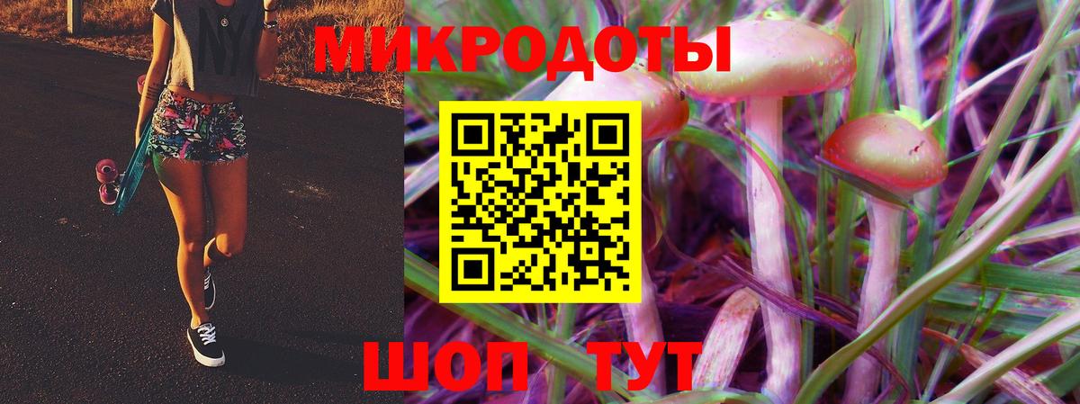 магазин продажи наркотиков  Карасук  Галлюциногенные грибы прущие грибы 